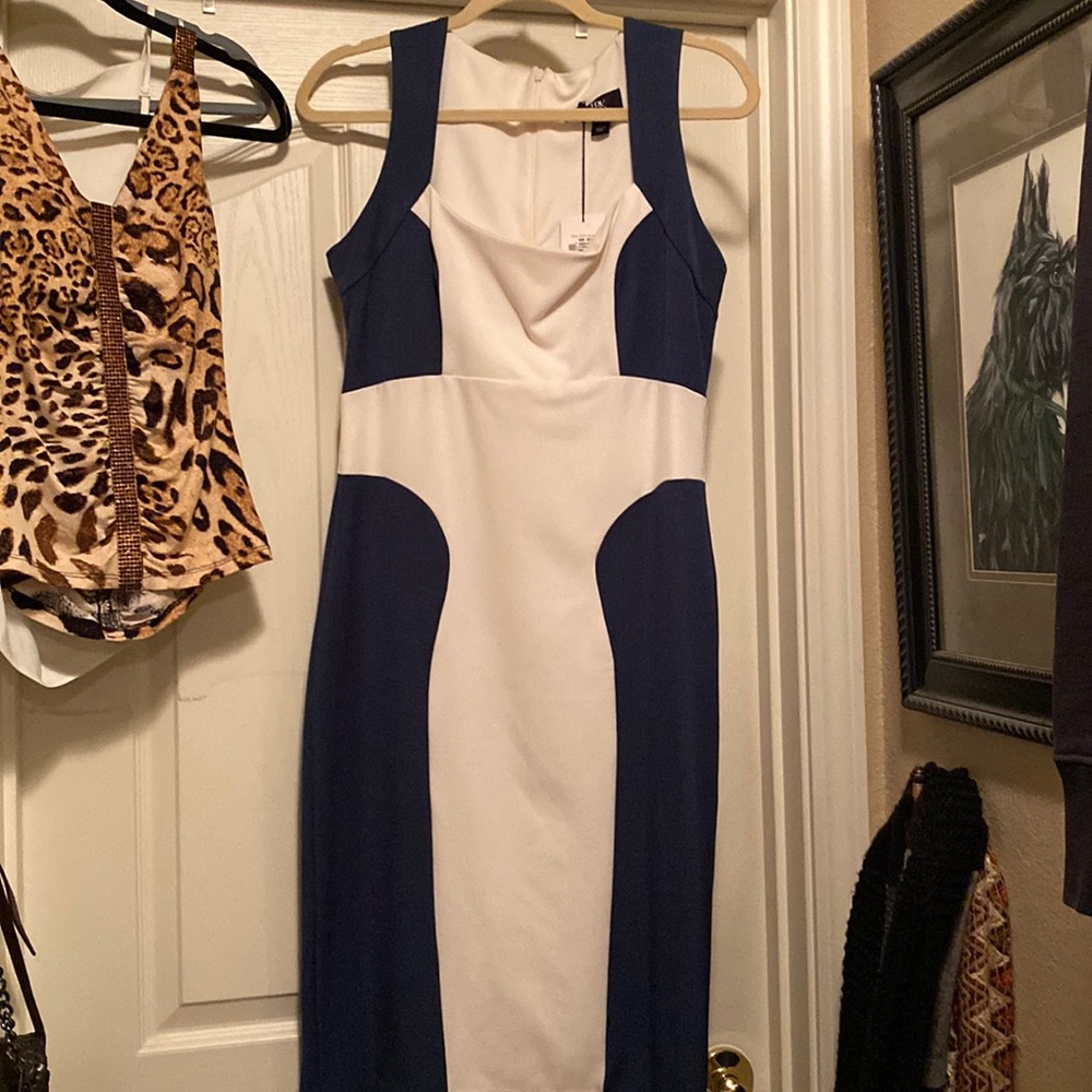 LRK blue/ ivory dress